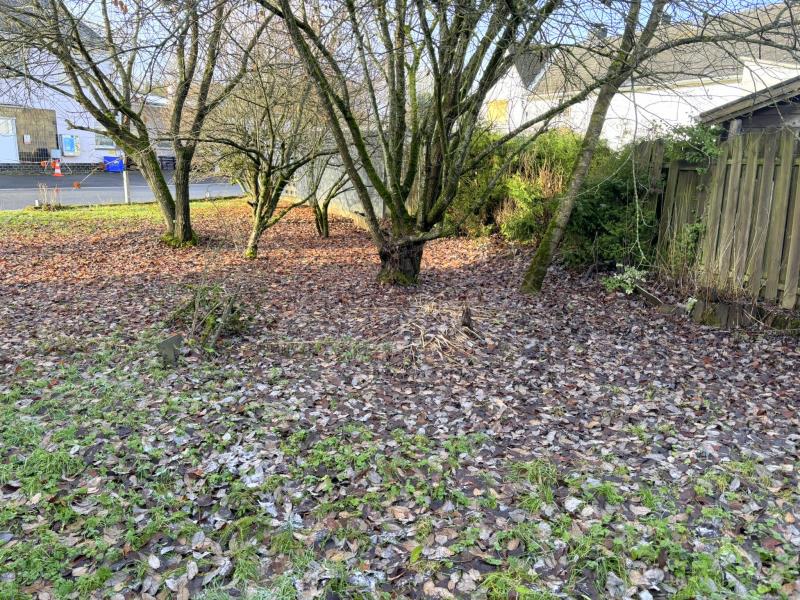 Gartenteilansicht 2 Einfamilienhaus Nister-M�hrendorf