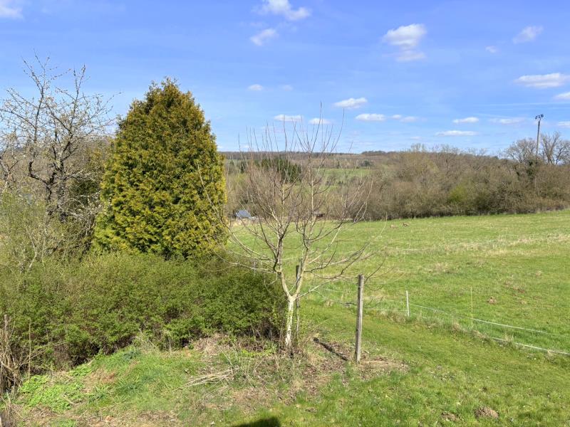 Aussicht vom Wohnzimmer Einfamilienhaus M�hren