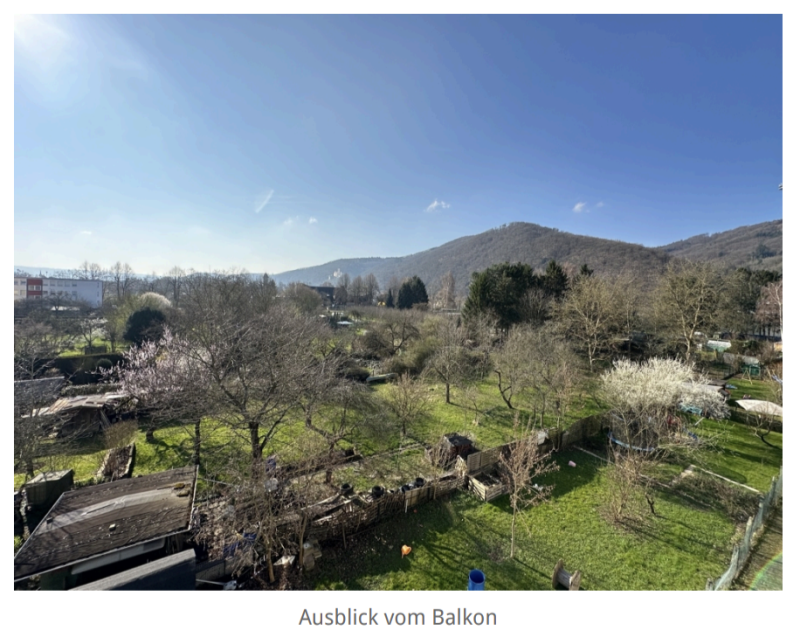 Blick vom Balkon Mehrfamilienhaus Lahnstein